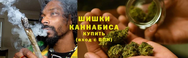 ПСИЛОЦИБИНОВЫЕ ГРИБЫ Болохово
