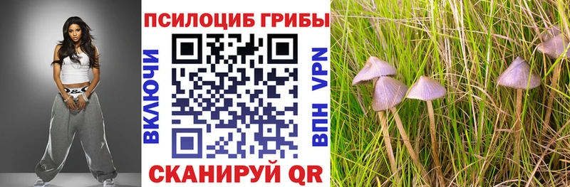 Галлюциногенные грибы GOLDEN TEACHER  Харовск 